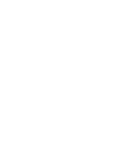 Centro Interdipartimentale per lo Studio dei Sistemi Complessi – Interdepartmental Center for Complex Systems Studies